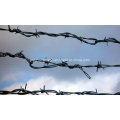 High-Quality Low-Carbon Steel Wire Low Price Razor Barbed Wire for Grass Boundary, Railway, Highway